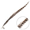 Reeves Pheasant Tail 1pc Natural