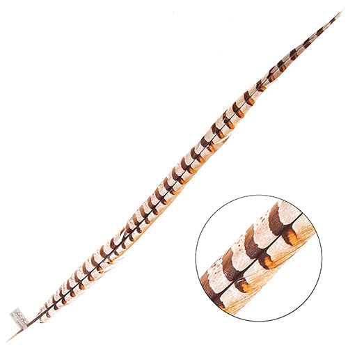 Reeves Pheasant Tail 1pc Natural