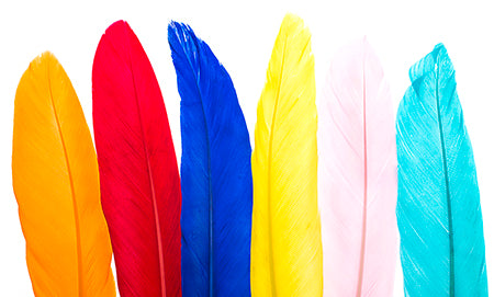 Goose Wing Quill Multi Bulk