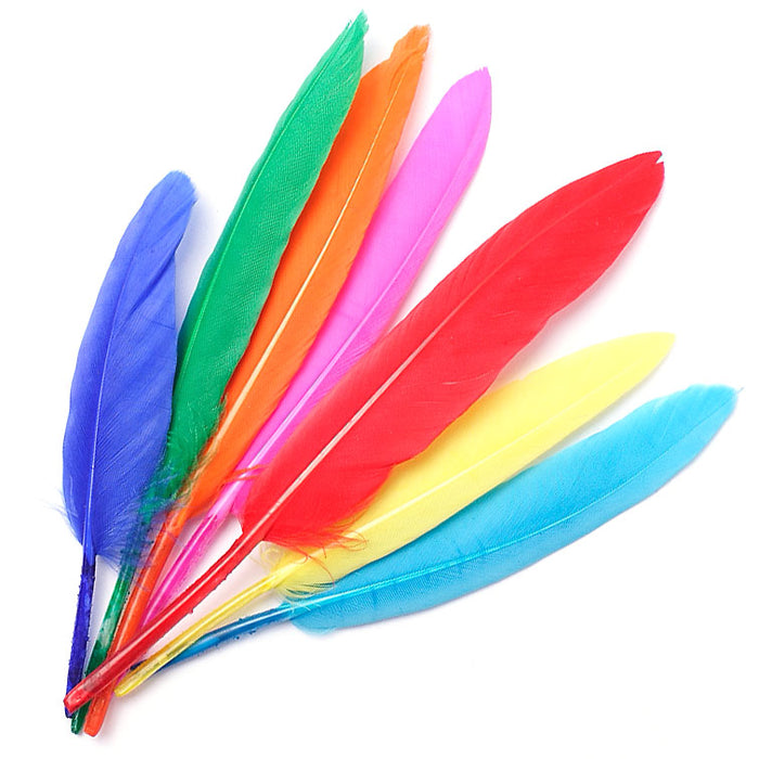 Goose Wing Quill Multi Bulk