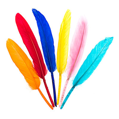 Goose Wing Quill Multi Bulk