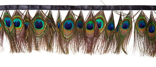 Peacock Trim 1m - Approx 37 Eyes Natural