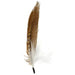 Hat Trim Ringneck Tail With Marabou 20cm Natural/White