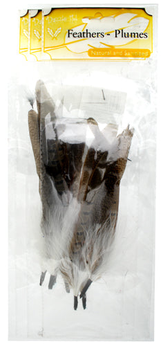 Hat Trim Ringneck Tail With Marabou 20cm Natural/White