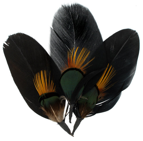 Hat Trim Goose/Peacock Plumage 10cm Green/Black/Nat