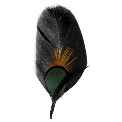 Hat Trim Goose/Peacock Plumage 10cm Green/Black/Nat