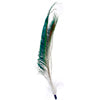 Hat Trim Peacock Sword/Marabou 30cm White/Green