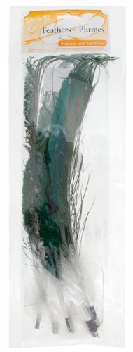 Hat Trim Peacock Sword/Marabou 30cm White/Green