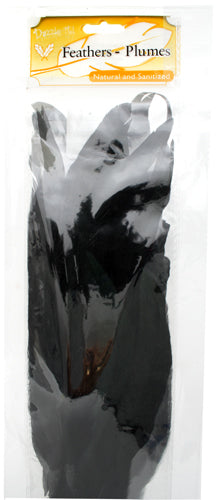 Hat Trim Bronze Cocktails 23cm Black