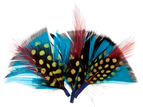Hat Trim Feather Fan Shape 7cm Turquoise Black/Red/Yellow
