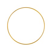 Metal Ring - Cosplay Supplies Inc