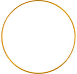 Metal Ring - Cosplay Supplies Inc