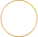 Metal Ring - Cosplay Supplies Inc