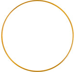 Metal Ring - Cosplay Supplies Inc