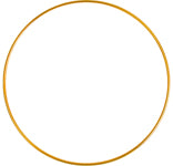 Metal Ring - Cosplay Supplies Inc