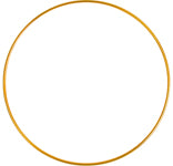 Metal Ring - Cosplay Supplies Inc