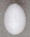 Dylite Styrofoam Egg 