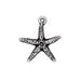 Tierra Cast - Charm Starfish Antique Silver