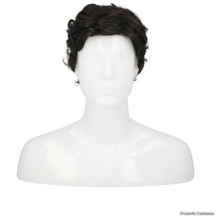 Men's Greaser Wig