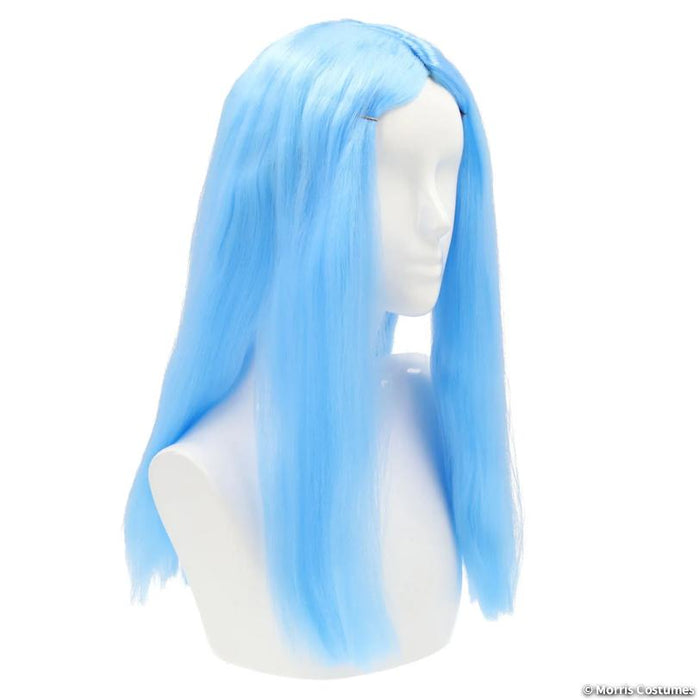 Bargain Witch Wig