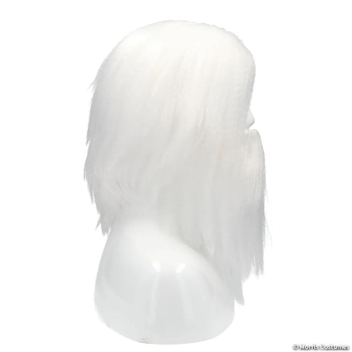 Hermit Man Wig and Beard Set