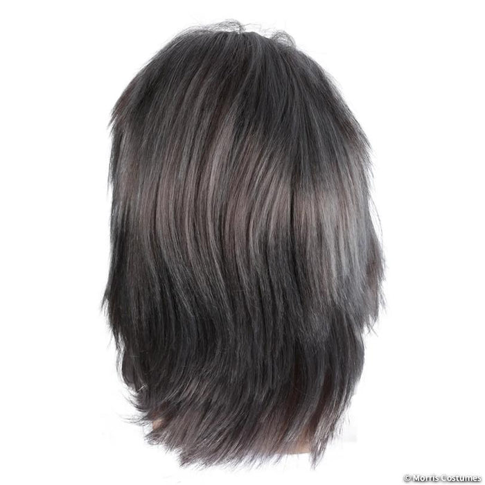 Neptune Beard & Wig Set