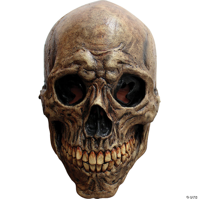 Ancient Skull Mask