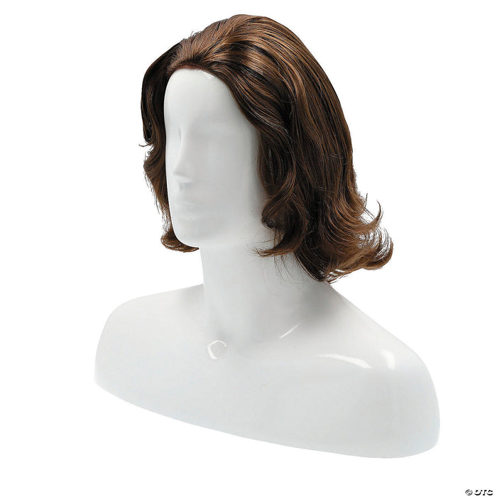 Beethoven Wig