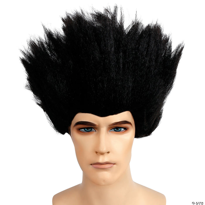 Black Traditional Fright Wig