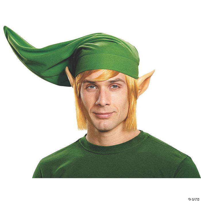 Adults Deluxe Link Costume Kit