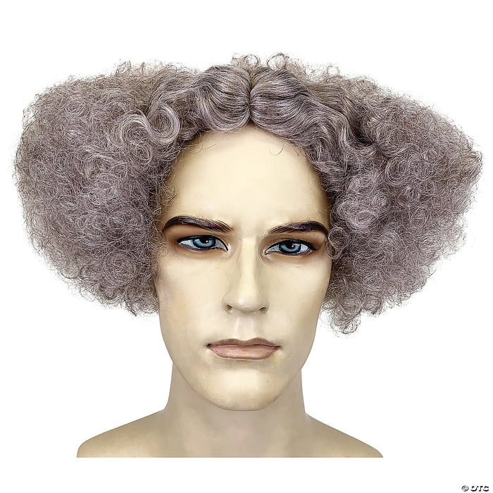 Gray Mad Scientist Wig