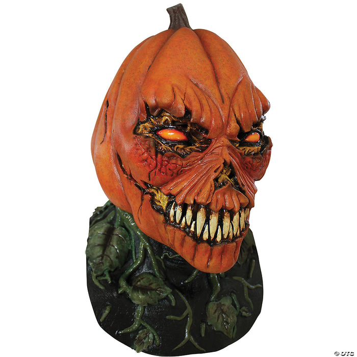 Adults Possessed Pumpkin Mask