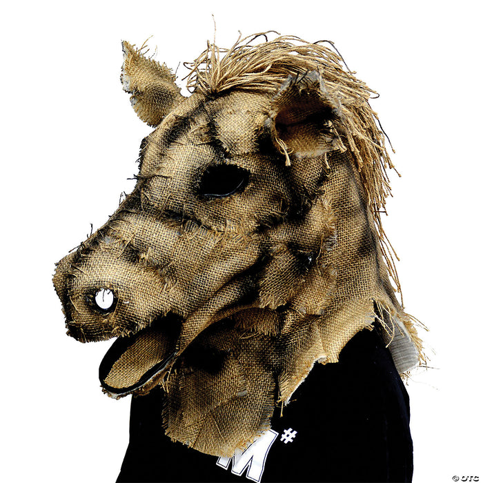 Scarecrow Horse Mask