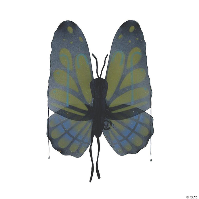 Adult Butterfly Wings