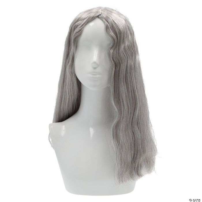 Bargain Witch Wig