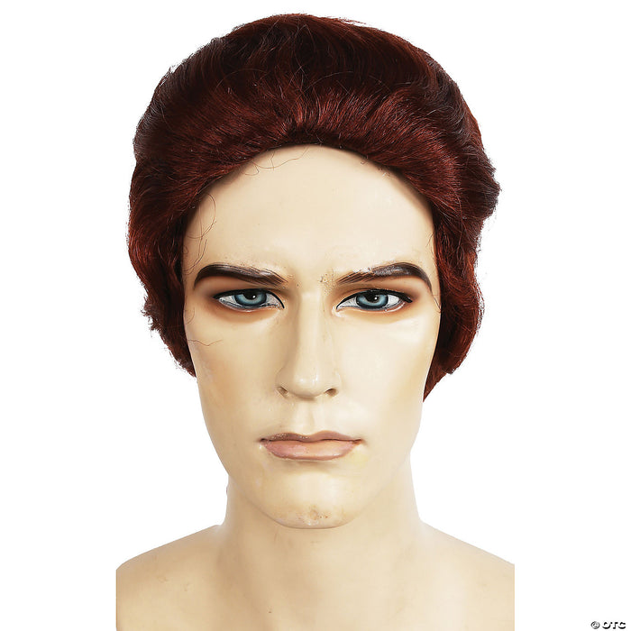 Men's Ponytail Wig