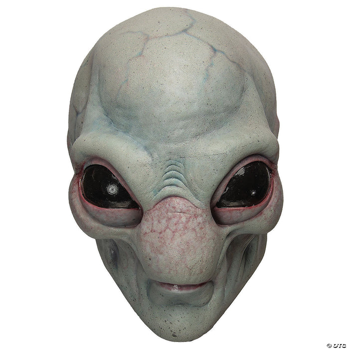 Visitor Adult Mask