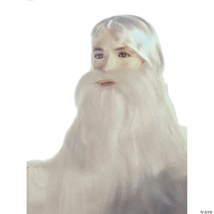 Special Bargain Wizard Beard & Wig