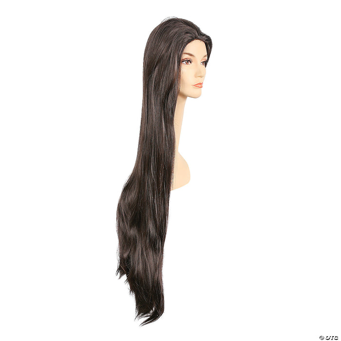 Long Straight Cher Wig